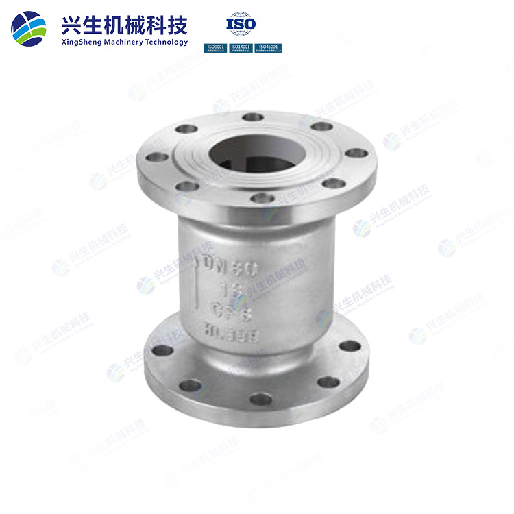 國標立式止回閥