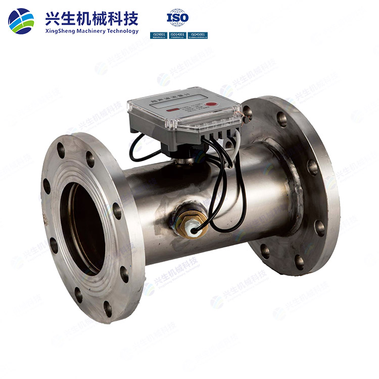 LWBT-16P-304流量計